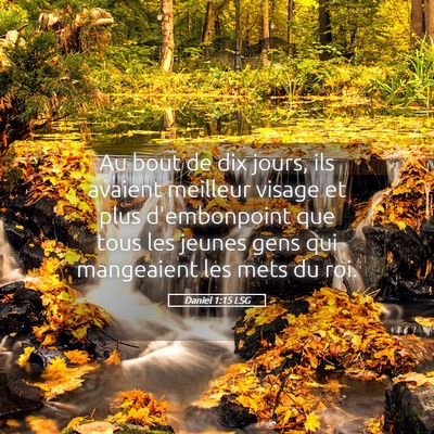 Picture 05 - Daniel 1:15 LSG - Au bout de dix jours, ils avaient meilleur visage - Bible Verse Picture