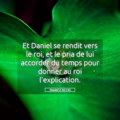 Picture 05 - Daniel 2:16 LSG - Et Daniel se rendit vers le roi, et le pria de - Bible Verse Picture