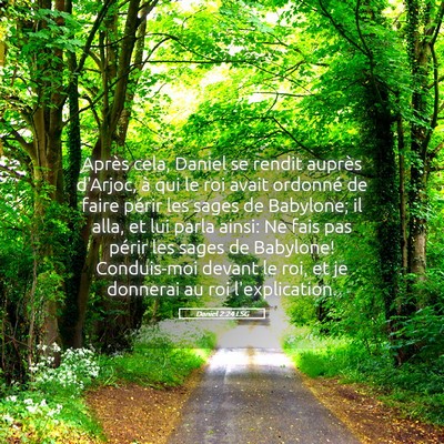 Picture 05 - Daniel 2:24 LSG - Après cela, Daniel se rendit auprès d'Arjoc, à - Bible Verse Picture