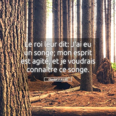 Picture 05 - Daniel 2:3 LSG - Le roi leur dit: J'ai eu un songe; mon esprit est - Bible Verse Picture