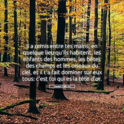 Picture 05 - Daniel 2:38 LSG - il a remis entre tes mains, en quelque lieu - Bible Verse Picture