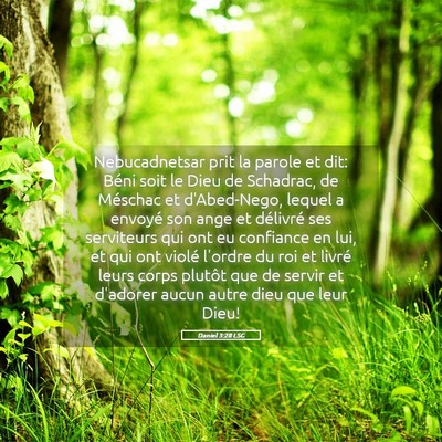 Picture 05 - Daniel 3:28 LSG - Nebucadnetsar prit la parole et dit: Béni soit - Bible Verse Picture