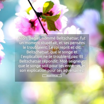 Picture 05 - Daniel 4:19 LSG - Alors Daniel, nommé Beltschatsar, fut un moment - Bible Verse Picture