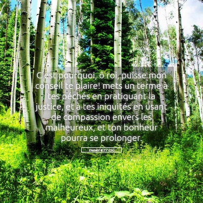 Picture 05 - Daniel 4:27 LSG - C'est pourquoi, ô roi, puisse mon conseil te - Bible Verse Picture