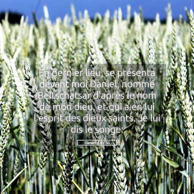 Picture 05 - Daniel 4:8 LSG - En dernier lieu, se présenta devant moi Daniel, - Bible Verse Picture
