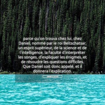 Picture 05 - Daniel 5:12 LSG - parce qu'on trouva chez lui, chez Daniel, nommé - Bible Verse Picture