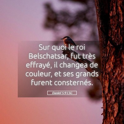 Picture 05 - Daniel 5:9 LSG - Sur quoi le roi Belschatsar, fut très effrayé, - Bible Verse Picture