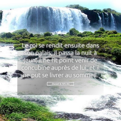 Picture 05 - Daniel 6:18 LSG - Le roi se rendit ensuite dans son palais; il - Bible Verse Picture