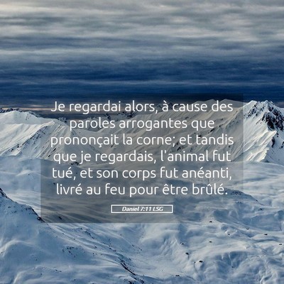 Picture 05 - Daniel 7:11 LSG - Je regardai alors, à cause des paroles - Bible Verse Picture