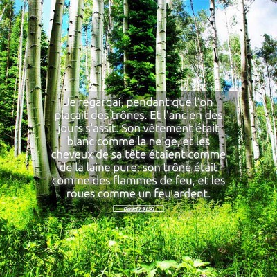 Picture 05 - Daniel 7:9 LSG - Je regardai, pendant que l'on plaçait des - Bible Verse Picture