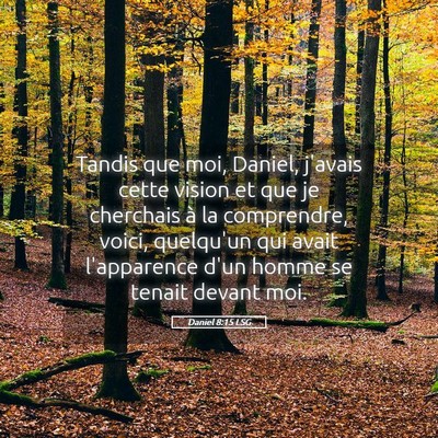 Picture 05 - Daniel 8:15 LSG - Tandis que moi, Daniel, j'avais cette vision et - Bible Verse Picture