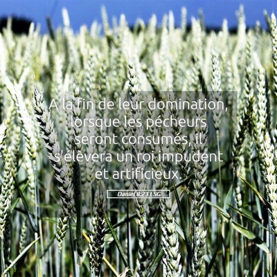 Picture 05 - Daniel 8:23 LSG - A la fin de leur domination, lorsque les - Bible Verse Picture