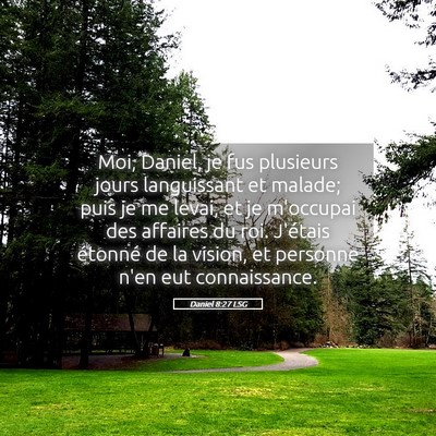 Picture 05 - Daniel 8:27 LSG - Moi, Daniel, je fus plusieurs jours languissant - Bible Verse Picture