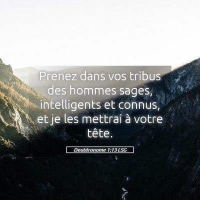 Picture 05 - Deutéronome 1:13 LSG - Prenez dans vos tribus des hommes sages, - Bible Verse Picture