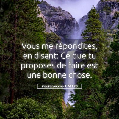 Picture 05 - Deutéronome 1:14 LSG - Vous me répondîtes, en disant: Ce que tu - Bible Verse Picture