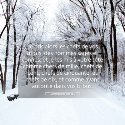 Picture 05 - Deutéronome 1:15 LSG - Je pris alors les chefs de vos tribus, des hommes - Bible Verse Picture