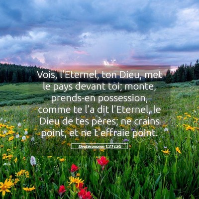 Picture 05 - Deutéronome 1:21 LSG - Vois, l'Eternel, ton Dieu, met le pays devant - Bible Verse Picture