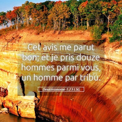 Picture 05 - Deutéronome 1:23 LSG - Cet avis me parut bon; et je pris douze hommes - Bible Verse Picture
