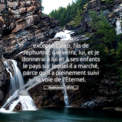 Picture 05 - Deutéronome 1:36 LSG - excepté Caleb, fils de Jephunné; il le verra, - Bible Verse Picture