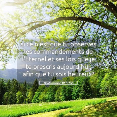 Picture 05 - Deutéronome 10:13 LSG - si ce n'est que tu observes les commandements de - Bible Verse Picture