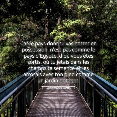 Picture 05 - Deutéronome 11:10 LSG - Car le pays dont tu vas entrer en possession, - Bible Verse Picture