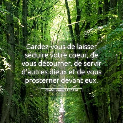 Picture 05 - Deutéronome 11:16 LSG - Gardez-vous de laisser séduire votre coeur, de - Bible Verse Picture