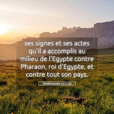 Picture 05 - Deutéronome 11:3 LSG - ses signes et ses actes qu'il a accomplis au - Bible Verse Picture