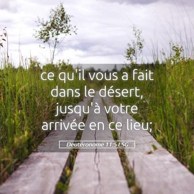 Picture 05 - Deutéronome 11:5 LSG - ce qu'il vous a fait dans le désert, jusqu'à - Bible Verse Picture