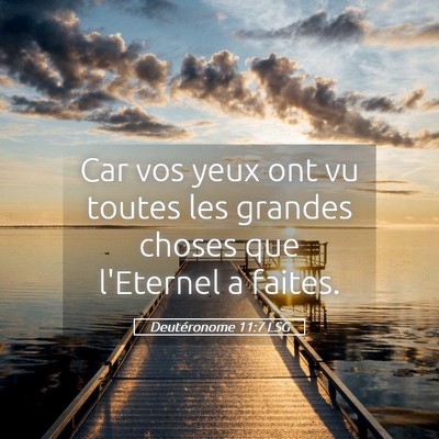Picture 05 - Deutéronome 11:7 LSG - Car vos yeux ont vu toutes les grandes choses que - Bible Verse Picture