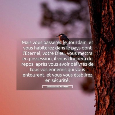 Picture 05 - Deutéronome 12:10 LSG - Mais vous passerez le Jourdain, et vous habiterez - Bible Verse Picture