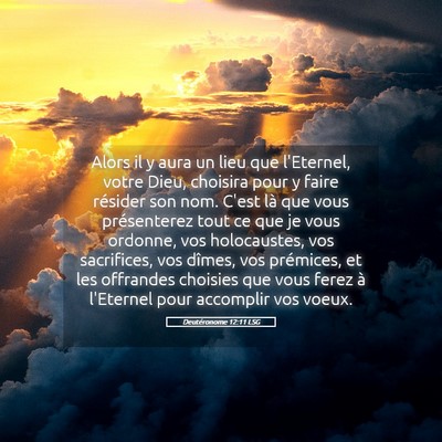 Picture 05 - Deutéronome 12:11 LSG - Alors il y aura un lieu que l'Eternel, votre - Bible Verse Picture