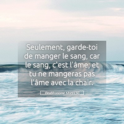 Picture 05 - Deutéronome 12:23 LSG - Seulement, garde-toi de manger le sang, car le - Bible Verse Picture