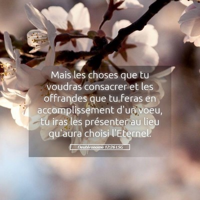 Picture 05 - Deutéronome 12:26 LSG - Mais les choses que tu voudras consacrer et les - Bible Verse Picture