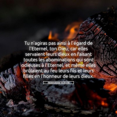 Picture 05 - Deutéronome 12:31 LSG - Tu n'agiras pas ainsi à l'égard de l'Eternel, - Bible Verse Picture