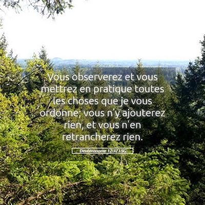 Picture 05 - Deutéronome 12:32 LSG - Vous observerez et vous mettrez en pratique - Bible Verse Picture