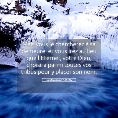 Picture 05 - Deutéronome 12:5 LSG - Mais vous le chercherez à sa demeure, et vous - Bible Verse Picture