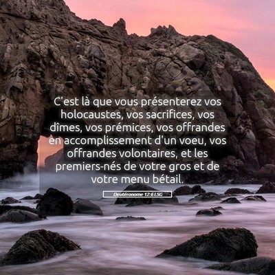 Picture 05 - Deutéronome 12:6 LSG - C'est là que vous présenterez vos holocaustes, - Bible Verse Picture