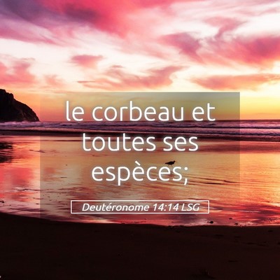 Picture 05 - Deutéronome 14:14 LSG - le corbeau et toutes ses - Bible Verse Picture