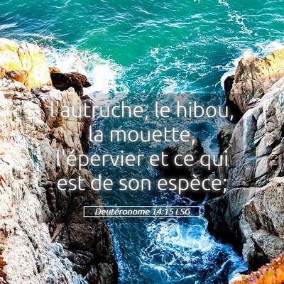 Picture 05 - Deutéronome 14:15 LSG - l'autruche, le hibou, la mouette, l'épervier et - Bible Verse Picture