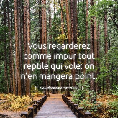 Picture 05 - Deutéronome 14:19 LSG - Vous regarderez comme impur tout reptile qui - Bible Verse Picture