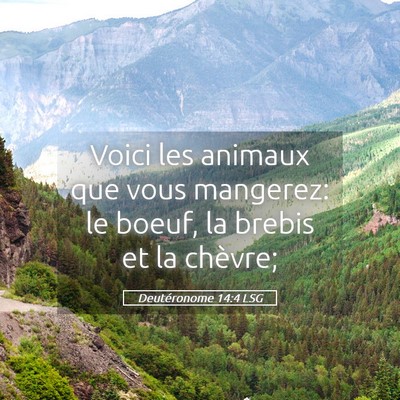 Picture 05 - Deutéronome 14:4 LSG - Voici les animaux que vous mangerez: le boeuf, la - Bible Verse Picture