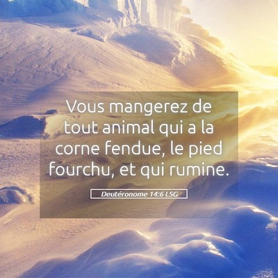 Picture 05 - Deutéronome 14:6 LSG - Vous mangerez de tout animal qui a la corne - Bible Verse Picture