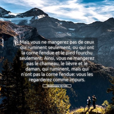 Picture 05 - Deutéronome 14:7 LSG - Mais vous ne mangerez pas de ceux qui ruminent - Bible Verse Picture