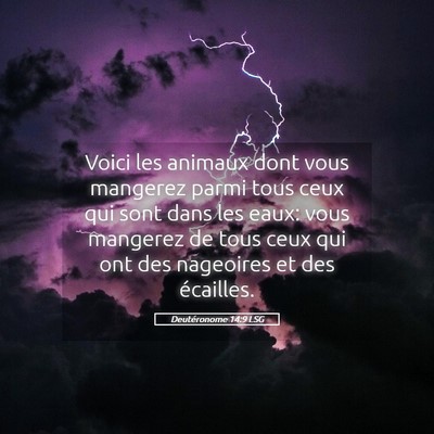 Picture 05 - Deutéronome 14:9 LSG - Voici les animaux dont vous mangerez parmi tous - Bible Verse Picture