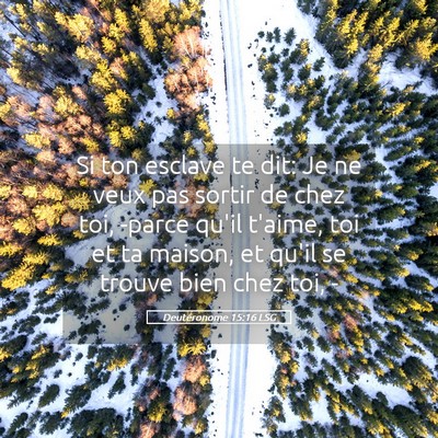Picture 05 - Deutéronome 15:16 LSG - Si ton esclave te dit: Je ne veux pas sortir de - Bible Verse Picture