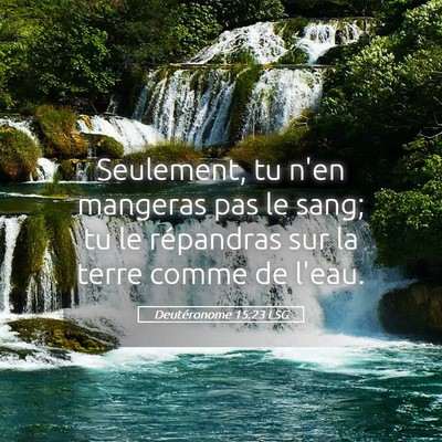 Picture 05 - Deutéronome 15:23 LSG - Seulement, tu n'en mangeras pas le sang; tu le - Bible Verse Picture