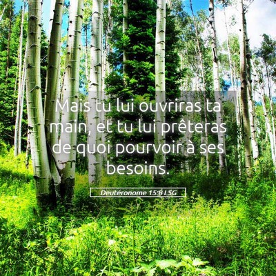 Picture 05 - Deutéronome 15:8 LSG - Mais tu lui ouvriras ta main, et tu lui prêteras - Bible Verse Picture