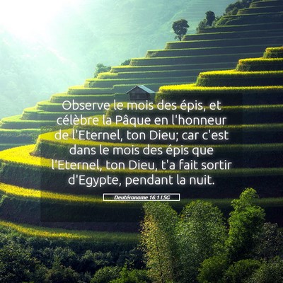 Picture 05 - Deutéronome 16:1 LSG - Observe le mois des épis, et célèbre la Pâque - Bible Verse Picture