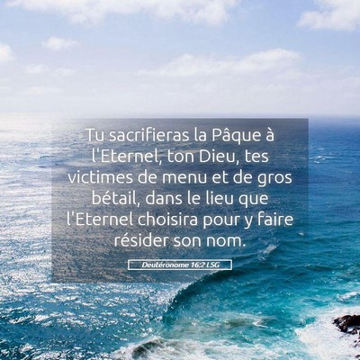 Picture 05 - Deutéronome 16:2 LSG - Tu sacrifieras la Pâque à l'Eternel, ton Dieu, - Bible Verse Picture