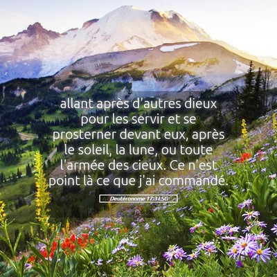 Picture 05 - Deutéronome 17:3 LSG - allant après d'autres dieux pour les servir et - Bible Verse Picture